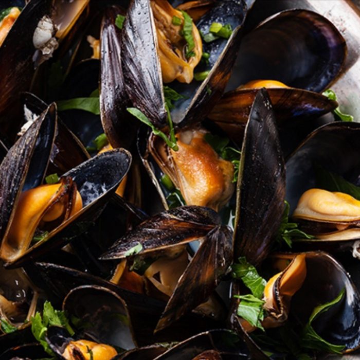 Mussels with gin and chorizo